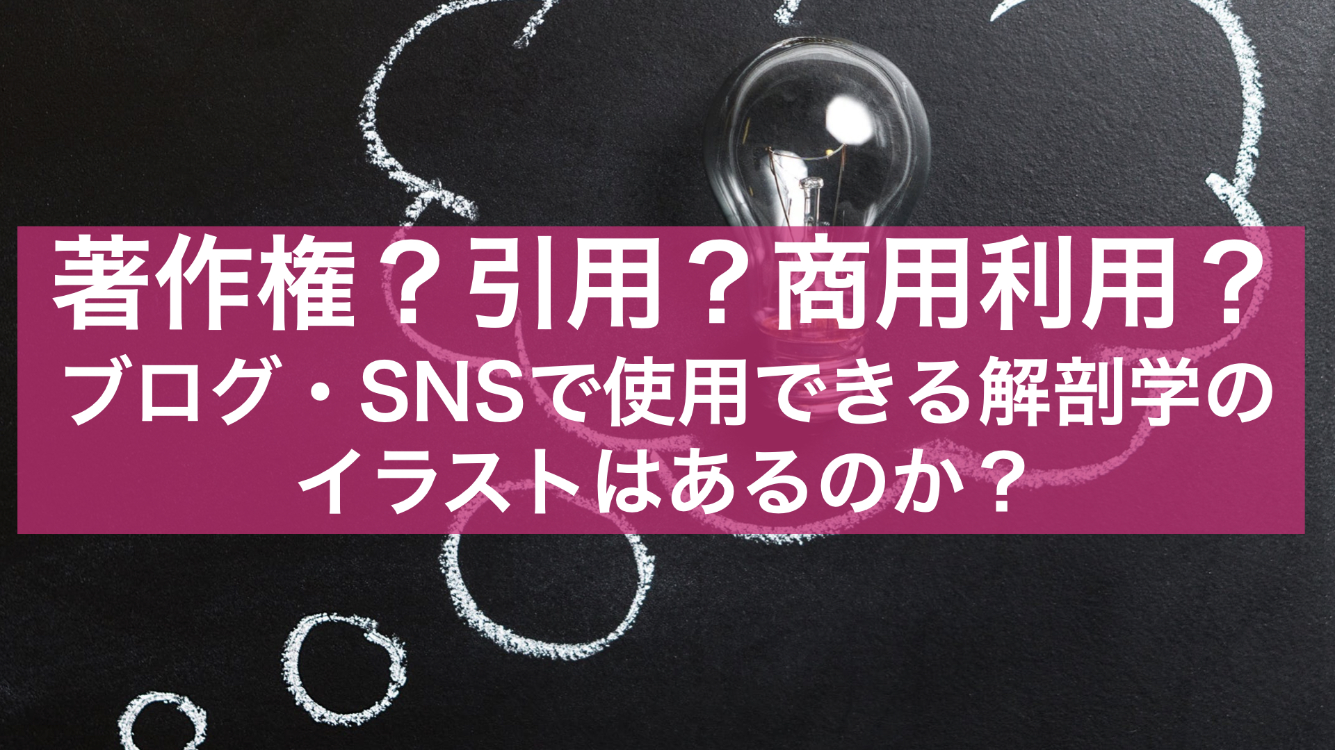 著作権 引用 商用利用 ブログ Snsで使用できる解剖学イラストはあるのか ユウスケ 筋トレ怪我ゼロプロジェクト Blog