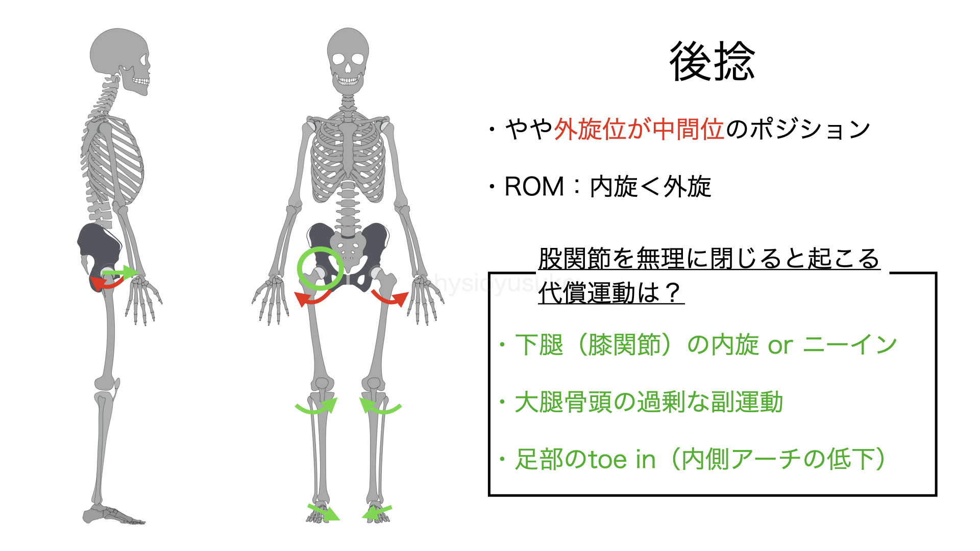 股関節 大腿骨の捻れ 前捻角 痛みの理解を深める解剖学 運動学的知識 ユウスケ 筋トレ怪我ゼロプロジェクト Blog