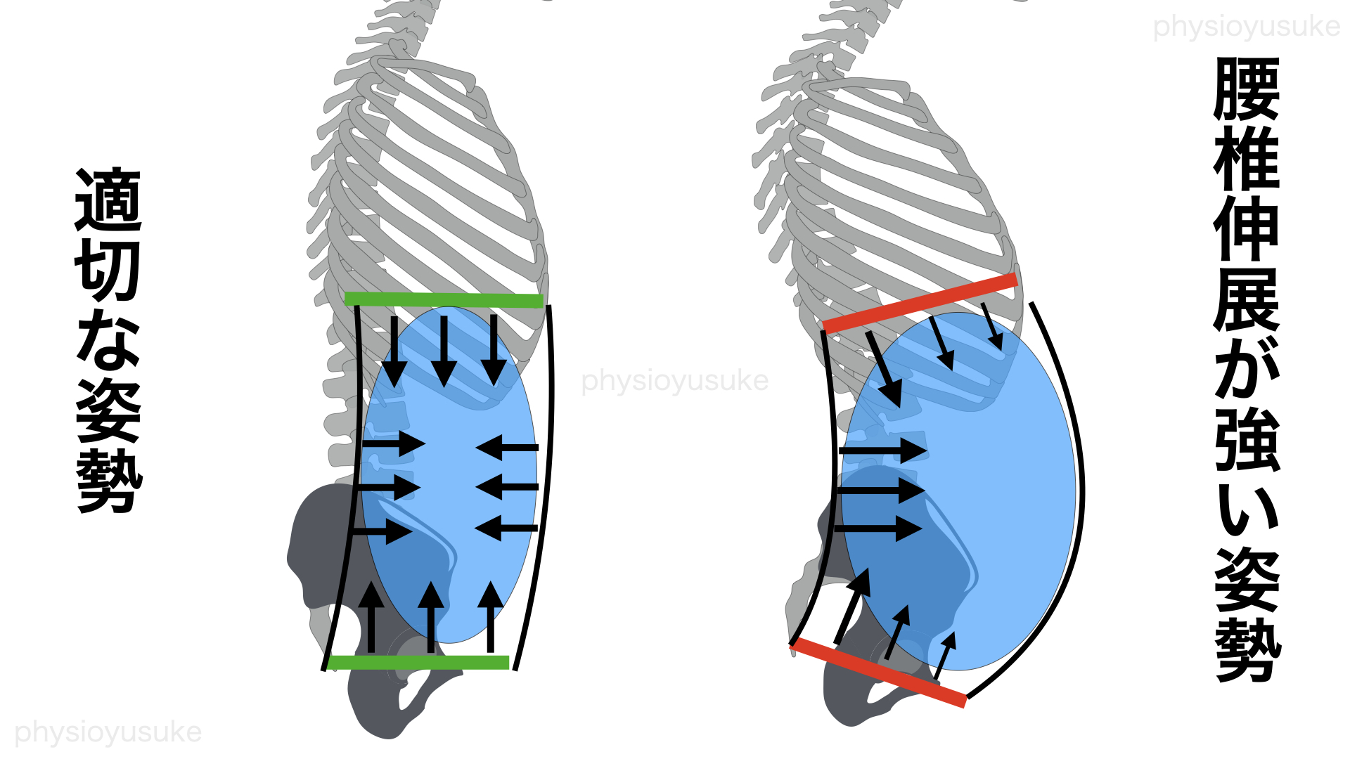 体幹トレーニングの教科書 基本編 ドローインとブレイシング ユウスケ 筋トレ怪我ゼロプロジェクト Blog