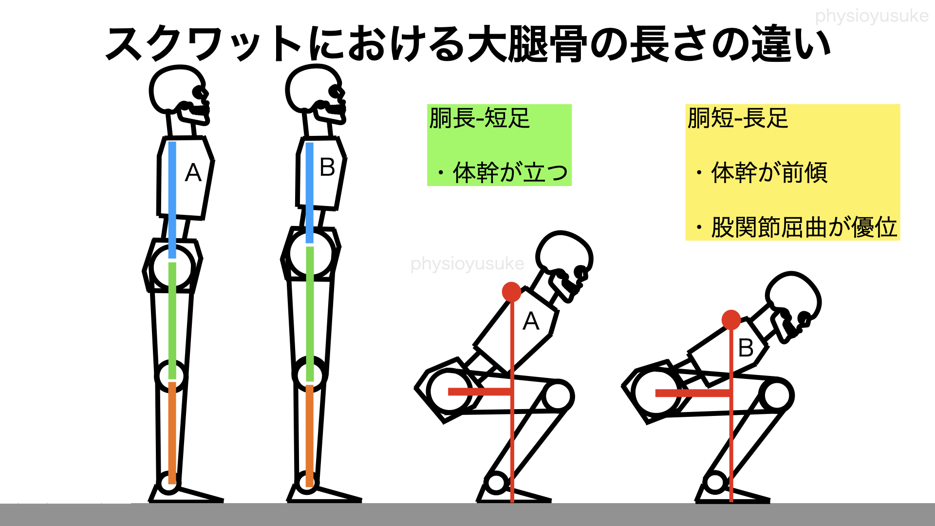 骨格の違いによるフォームの違いを考察 ユウスケ 筋トレ怪我ゼロプロジェクト Blog