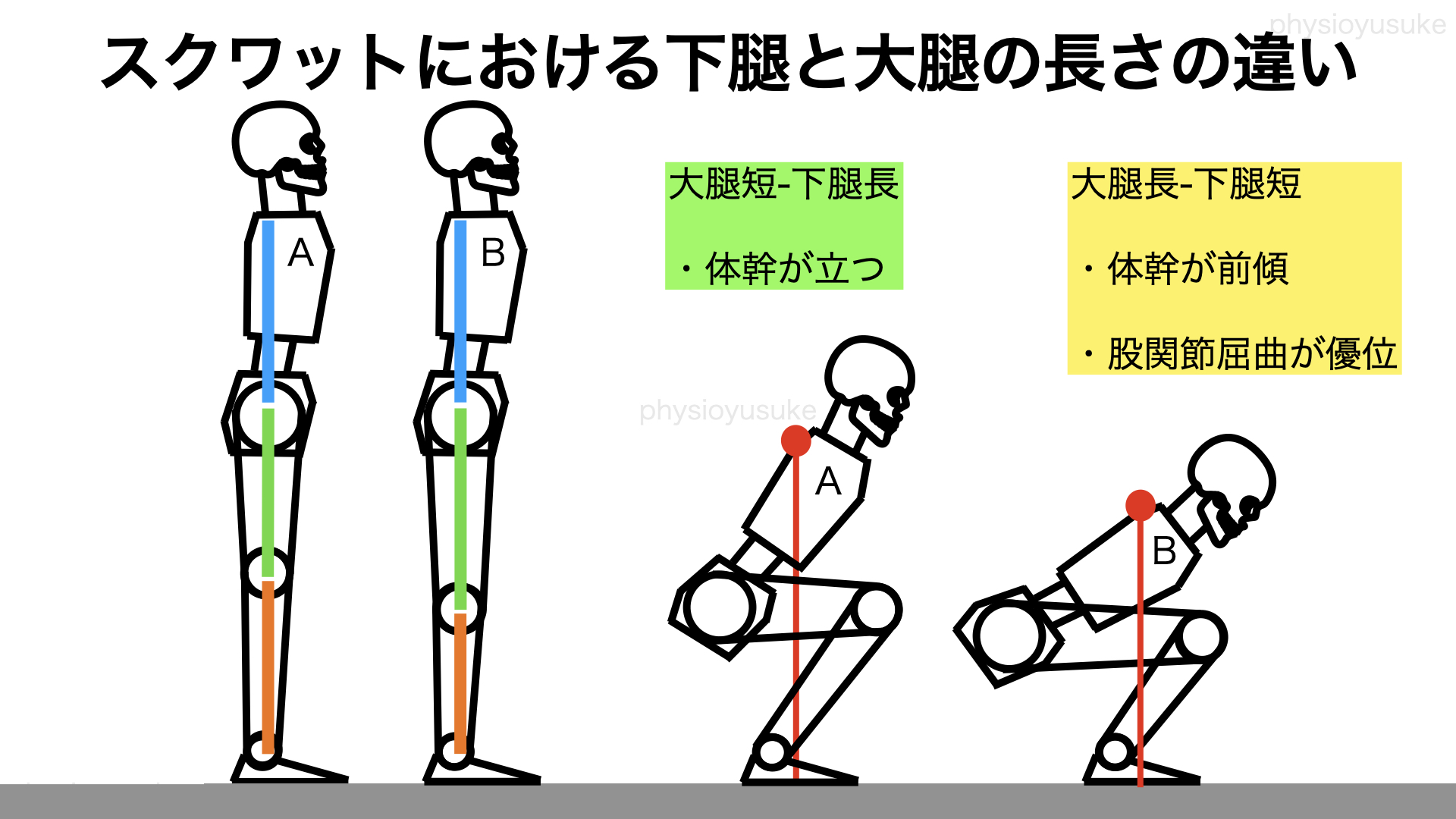 骨格の違いによるフォームの違いを考察 ユウスケ 筋トレ怪我ゼロプロジェクト Blog