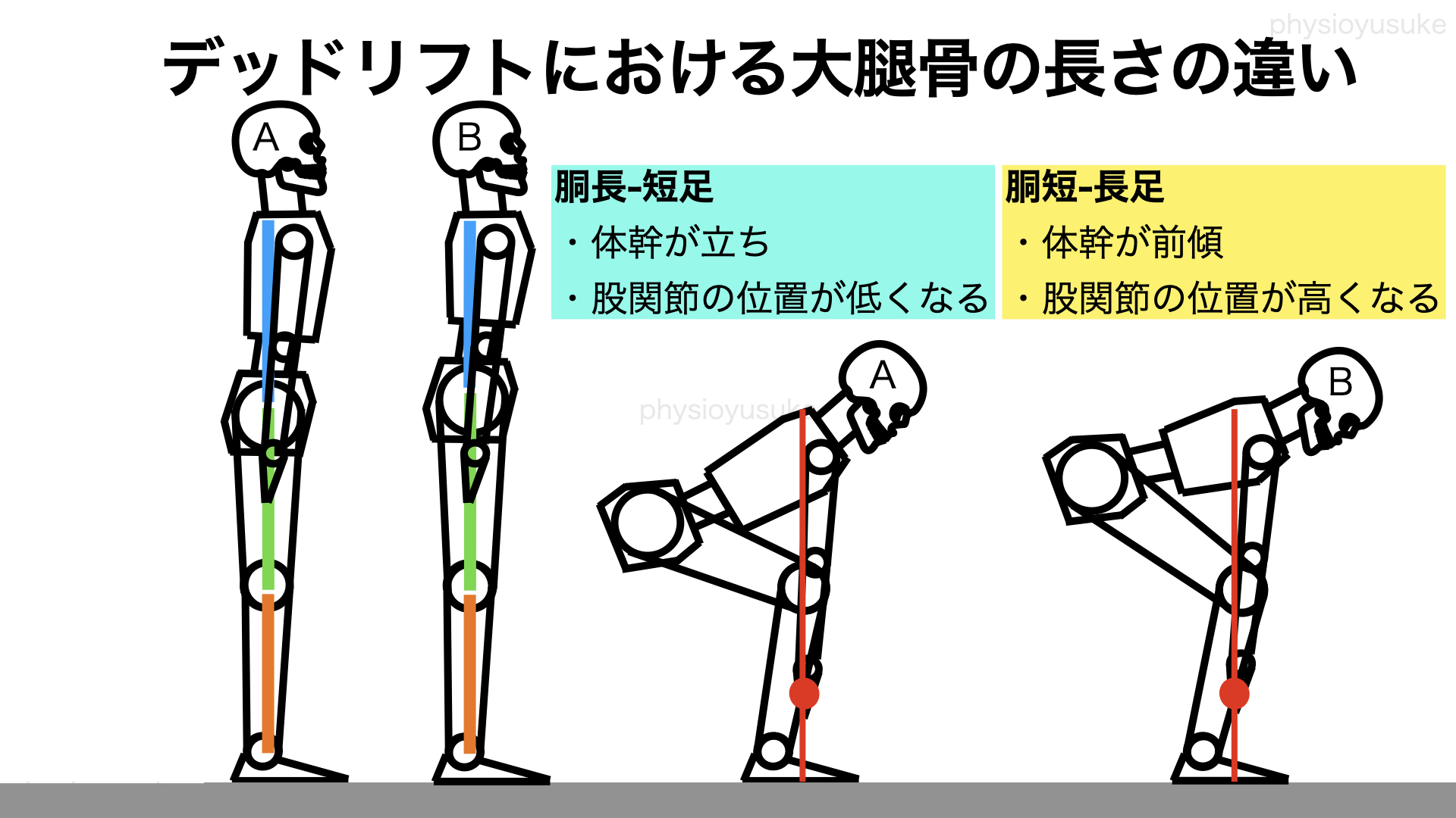骨格の違いによるフォームの違いを考察 ユウスケ 筋トレ怪我ゼロプロジェクト Blog