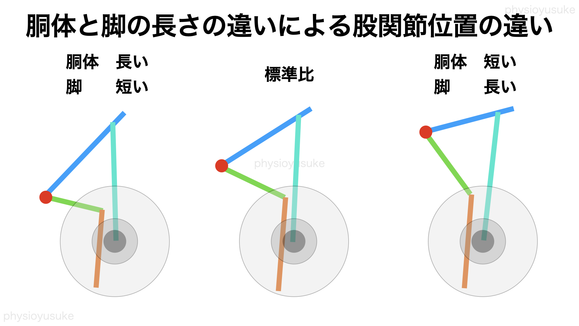 骨格の違いによるフォームの違いを考察 ユウスケ 筋トレ怪我ゼロプロジェクト Blog